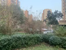 店长推荐!非底楼!位置好,房子单价低!!诚意卖