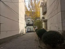 十全街 十梓街孔付司巷 沧实振华未用 3楼一T两户全明诚售