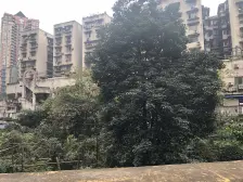 杨家坪 杨馨花园三房96万