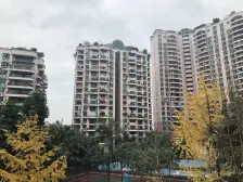 珠江花园大平层四房 一线江景房 视野开阔