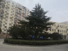 德盈佳园 3室2厅 南 北