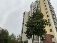 橘子国花园:85平 精装 草桥和善耕4,6号