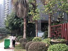 精装大5房诚心出售产权清晰看房方便