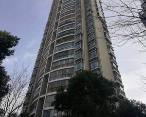 合工大旁洋房中间楼层户型通透人车分流诚心售