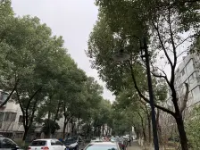 联排边户别墅,面积大,精装修400万,可拎包入住