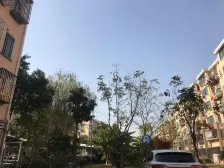 川沙·德川新苑·1室·1厅