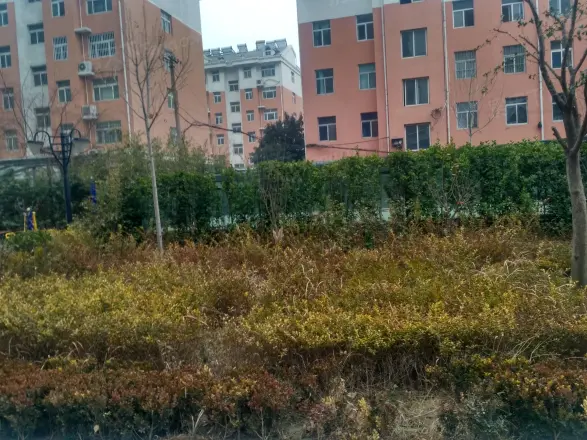 益新苑