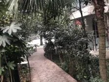 康德糖果盒 3室2厅 东南