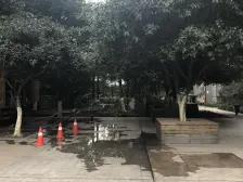 双轻轨,多公交,出行方便,配套成熟