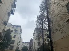 一楼带天井 厨卫朝北 全明户型 自住 看房方便