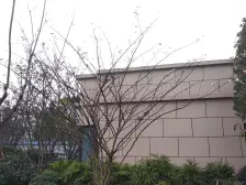 李家沱 中建滨江星城景樾轩二期一组团三房66万