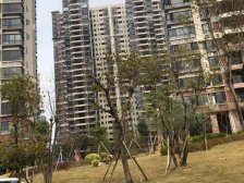 石竹山水园望景台三房二厅卫毛坯房出售。