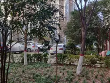 满五年采光好 朝南一室一厅全明户型 交通便利临河观景