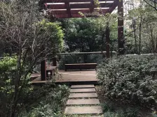 大坪 红城丽景一房50万