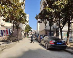 瑶海万达旁地铁口金盛家园精装婚房两室两厅对外出售
