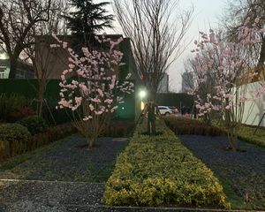 科弘·国风龙樾4室2厅南北
