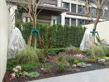 业主诚心出售中粮金科浣溪锦云花溪河畔优质小区