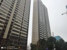 小区楼龄新.人车分流.南北通透.通风采光好