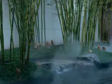 礼嘉 板式洋房 看公园 装修70颗 山景房 视野好