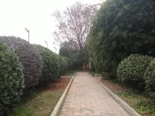 奥园 房东急售 大三房上和平江声 寻找有缘人