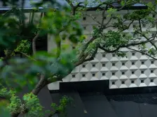 窗外这一刻美景只属于您 香港置地林山郡 横厅公园四房 保真