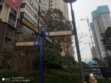 碧桂园大学印象 科大和平 人车分流 环境优美