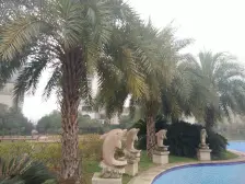 新上奥园联排边户花园150平米视野开阔