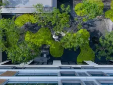 低密度高品质 板式洋房 南北板式 户型紧凑 小露台