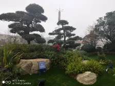 碧桂园公园学府 4房2卫南北通透 毛坯