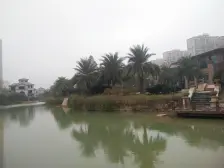 奥园,一线江景,电梯中层,小区环境好