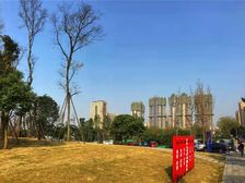 金沙宸宇公馆 4室2厅 南 西南