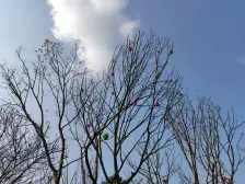 环境好,户型方正,交通出行方便.双轻轨