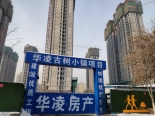 施工进度实景图