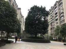 海宇西苑 2室2厅 南