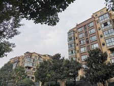 新界三期 3室1厅 东北