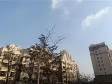 楼层好 70年产权 全明户型 大两室 视野采光好