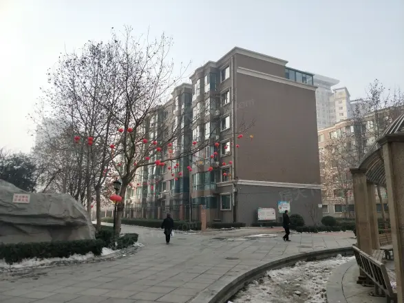 怀特翰墨儒林
