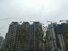 杨柳春风 4室2厅 南 北