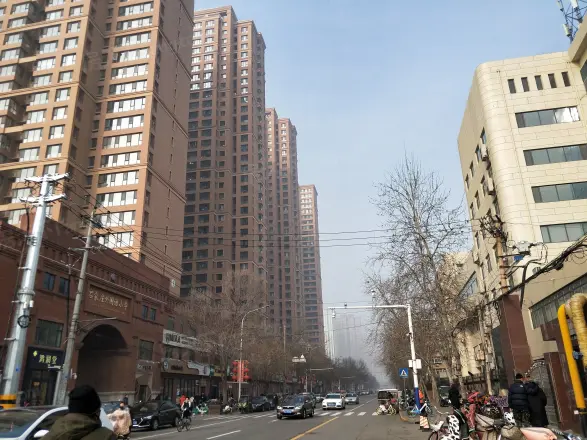 怀特翰墨儒林