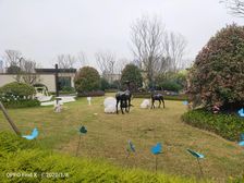 小区环境优美,全层精装智能化,小区人车分流