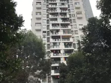 回兴 水木年华三房105万