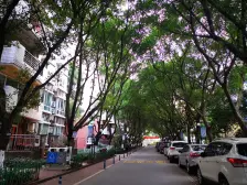 精装修,出行方便,户型采光好。小区环境优雅清新,