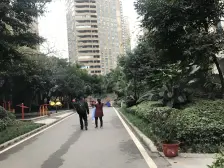 莲花半岛 2室1厅 南