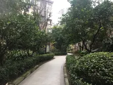 蓝谷小镇 3室2厅 南