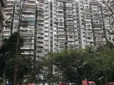 奔力乡间城 1室1厅 东南