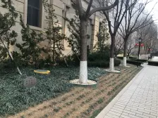 华南商圈 凯旋门品质三室 无遮挡 着急卖 近地铁商场