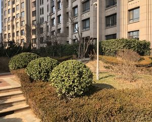 出门50米万象汇,近地铁!正规两室,楼层好,视野好!