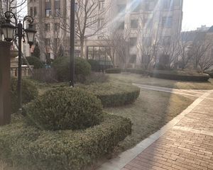 张店长推荐远洋中间楼层诚心出售好房子