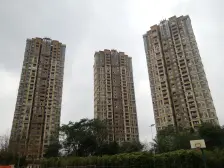 鸳鸯 融科金湖湾四房160万