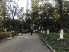 龙头寺 中渝爱都会二房115万